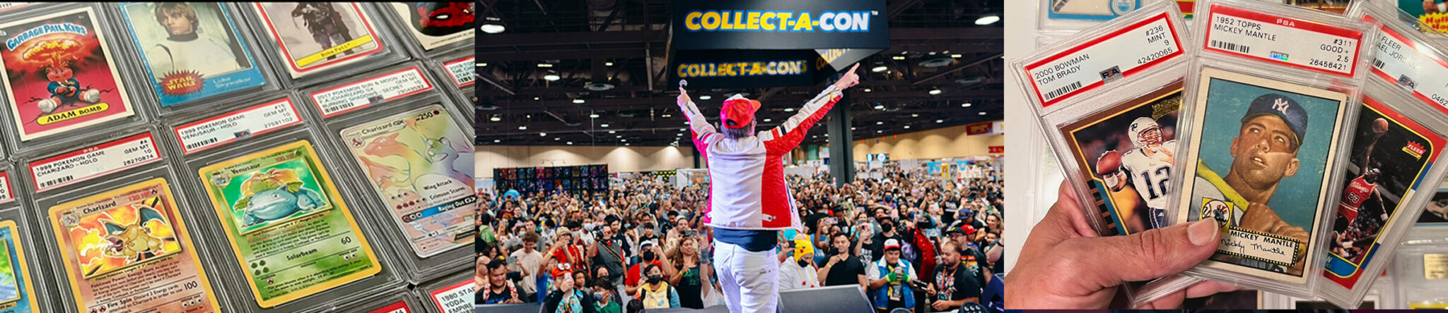 Collect-A-Con photos with trading cards and crowd